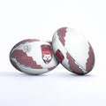 Lyon Fanball