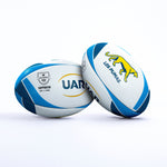 Argentina Supporter Ball