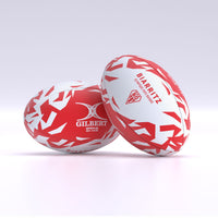 Ballon Supporter Biarritz