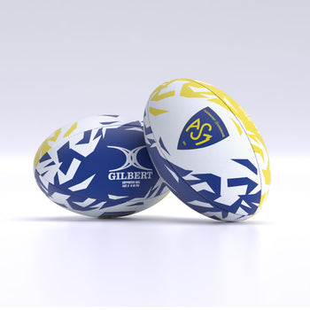 Ballon Supporter Clermont