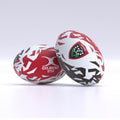 Ballon Supporter Toulon