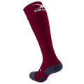 Pro Match Socks (multi-buy)