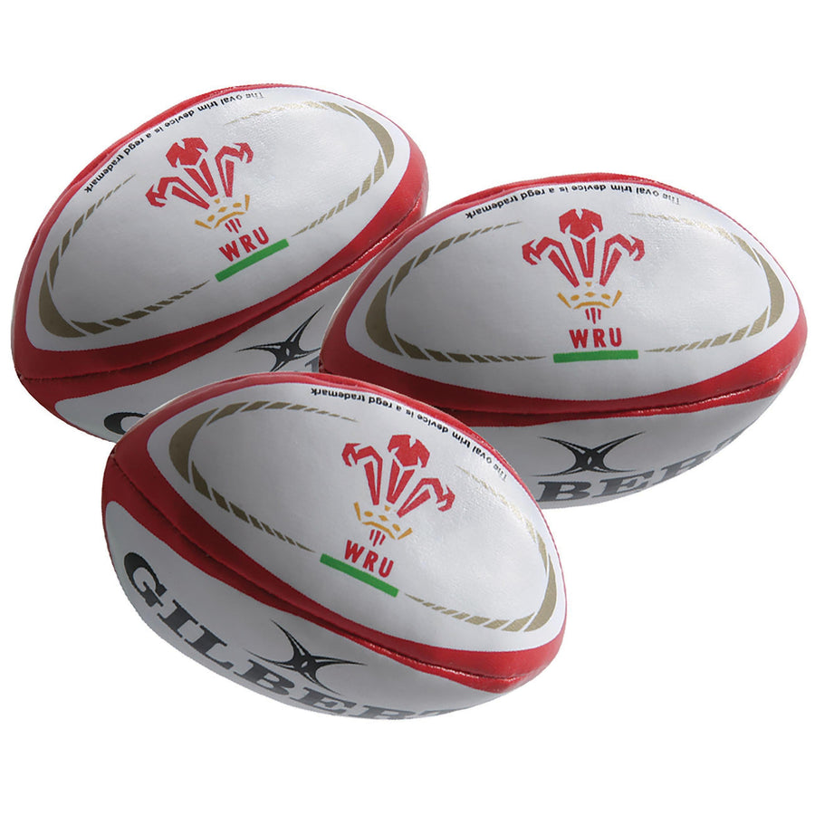 2600 RDAD19 41036010 Ball Juggling Wales (3)