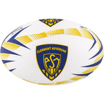 2600 RDEG17 45078005 Ball Supporter Clermont Auvergne Size 5 Panel 1