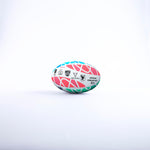 RRAG23Rugby World Cup RWC2023 Emblem Ball Size 5, 5024686362721 Pool D